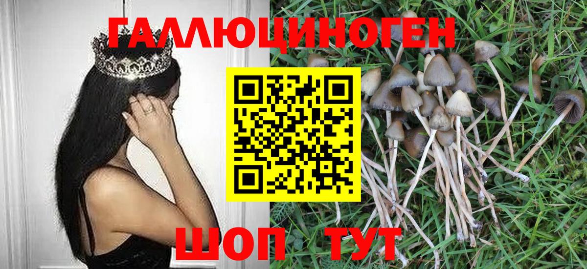 Псилоцибиновые грибы MAGIC MUSHROOMS Славгород