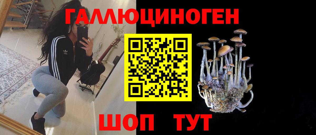 Галлюциногенные грибы мухоморы  Вход с VPN  Славгород 